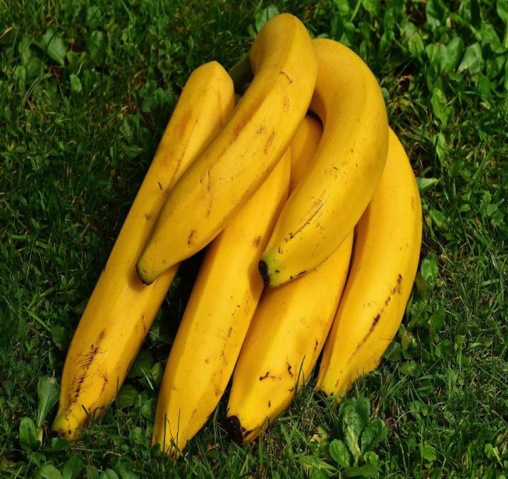 bananas-ge12940c2f_1920_0.jpg