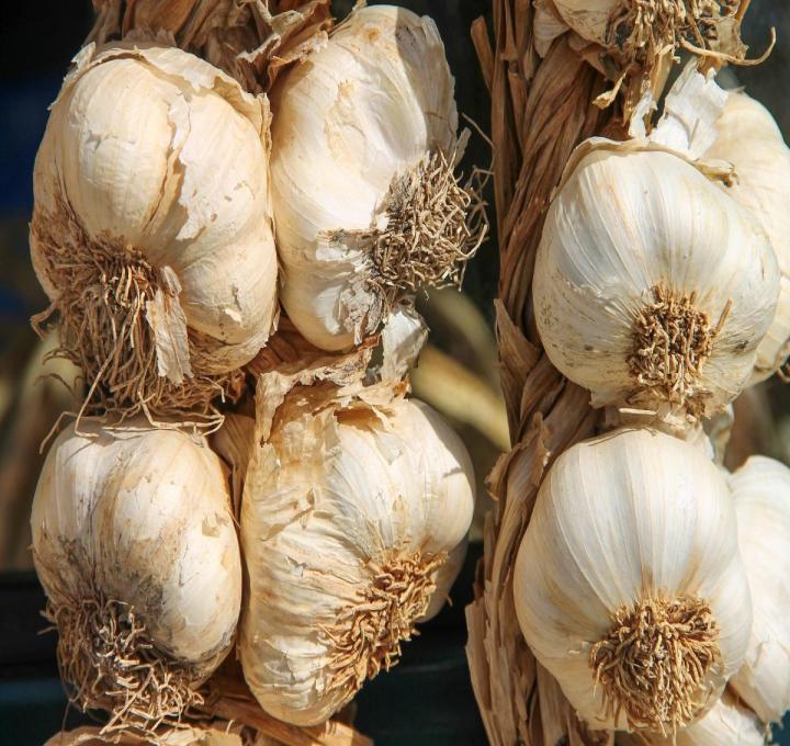 garlic-3747176_1920_0.jpg