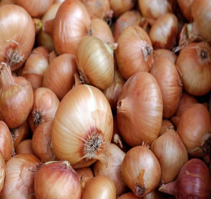 onions-1397037_1920_0.jpg
