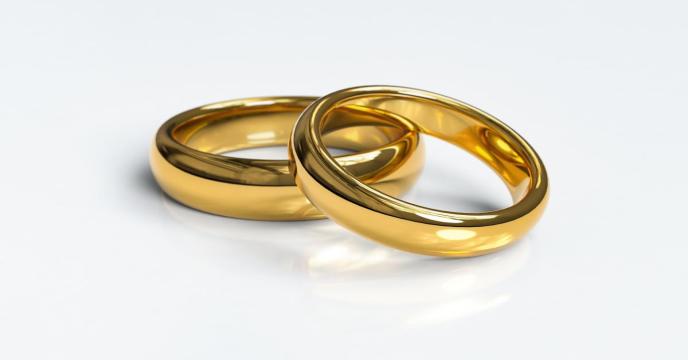 wedding-rings-gcea5bad62_1920_0.jpg